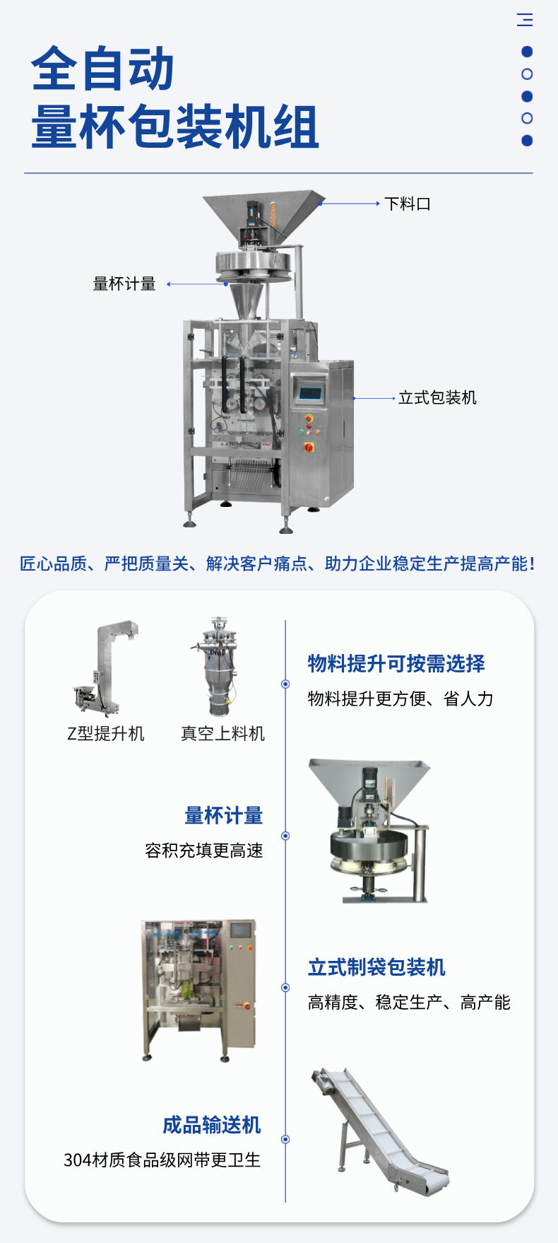 味精定量包装机-味精称重包装机生产厂家